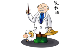 聚氨酯發(fā)泡催化劑活性與胺值及空間位阻的關(guān)系